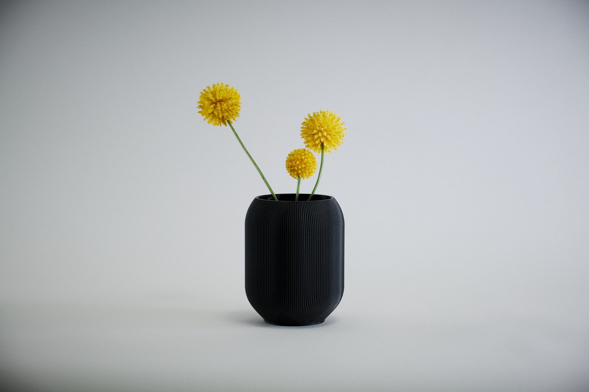 Aspen Vase  I  STYLE 02 Pod