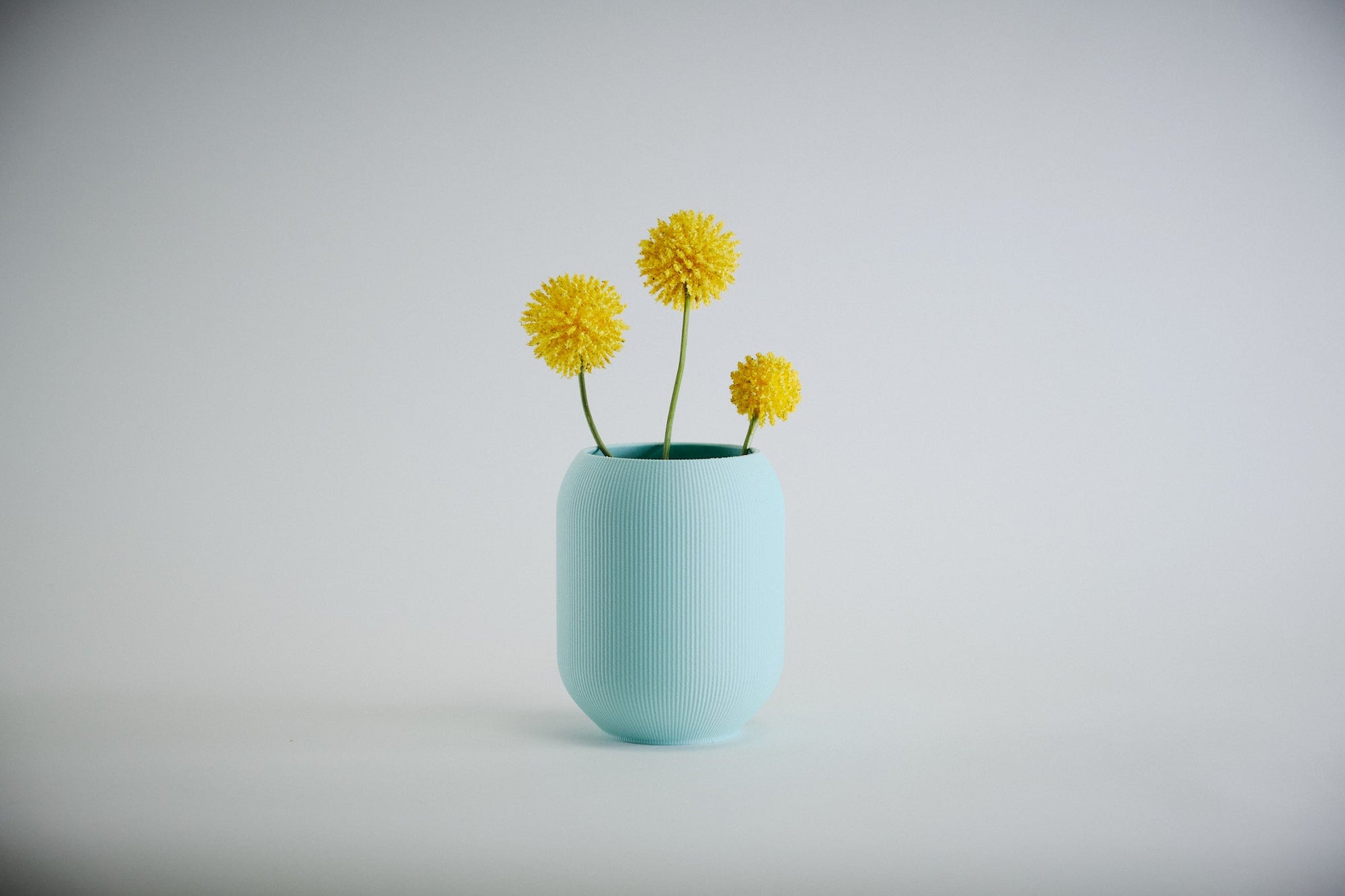 Aspen Vase  I  STYLE 02 Pod - Honey and Ivy 