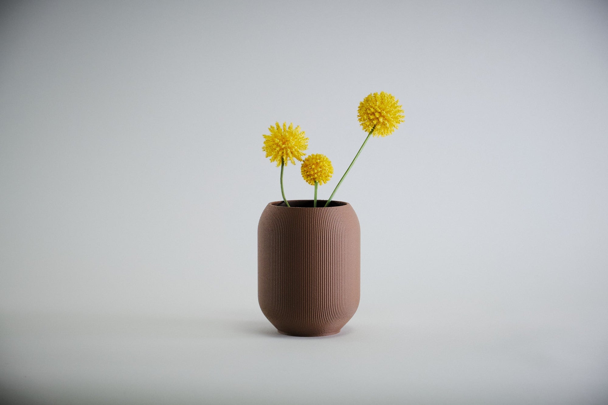Aspen Vase  I  STYLE 02 Pod - Honey and Ivy 