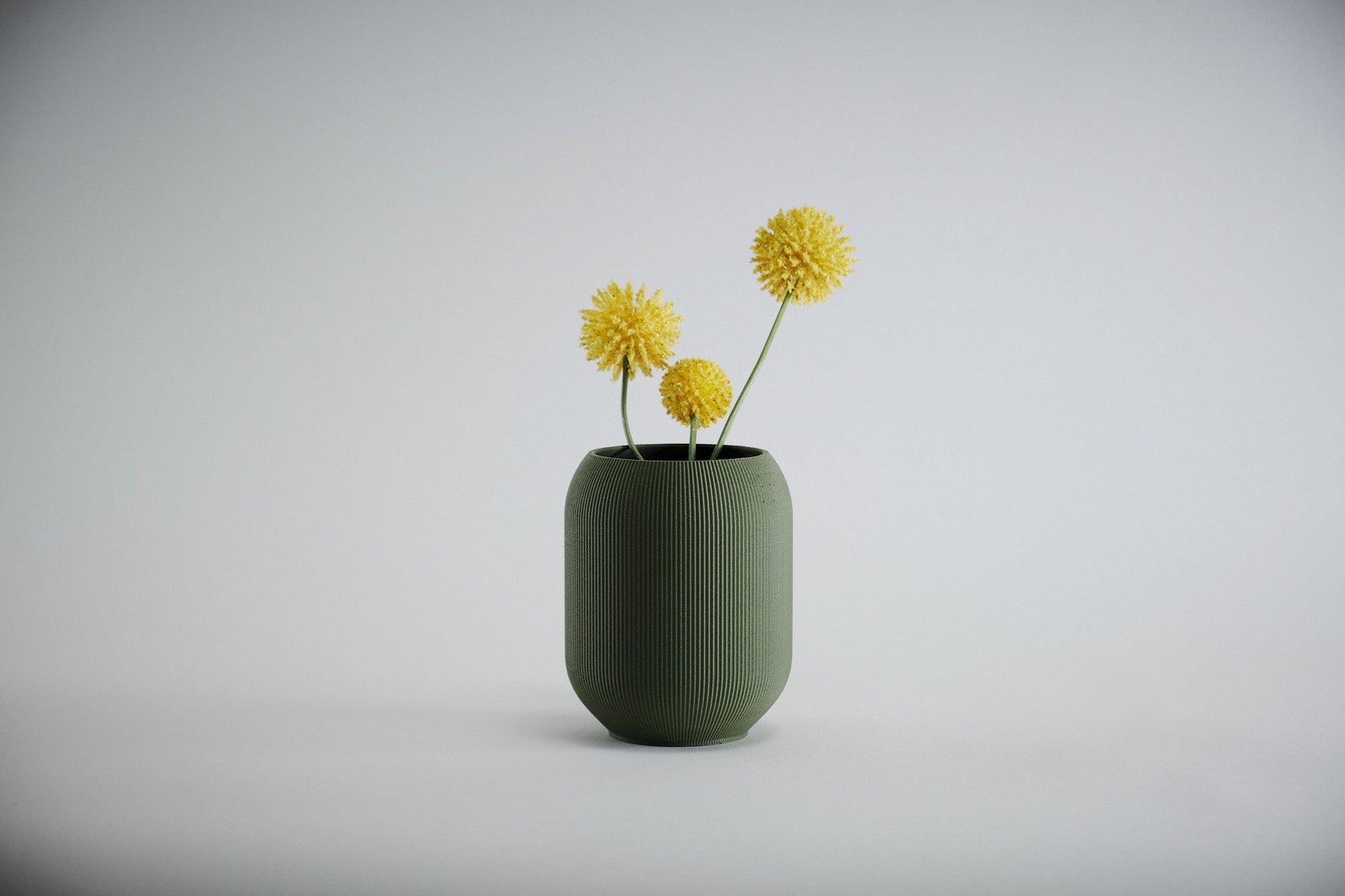 Aspen Vase  I  STYLE 02 Pod - Honey and Ivy 
