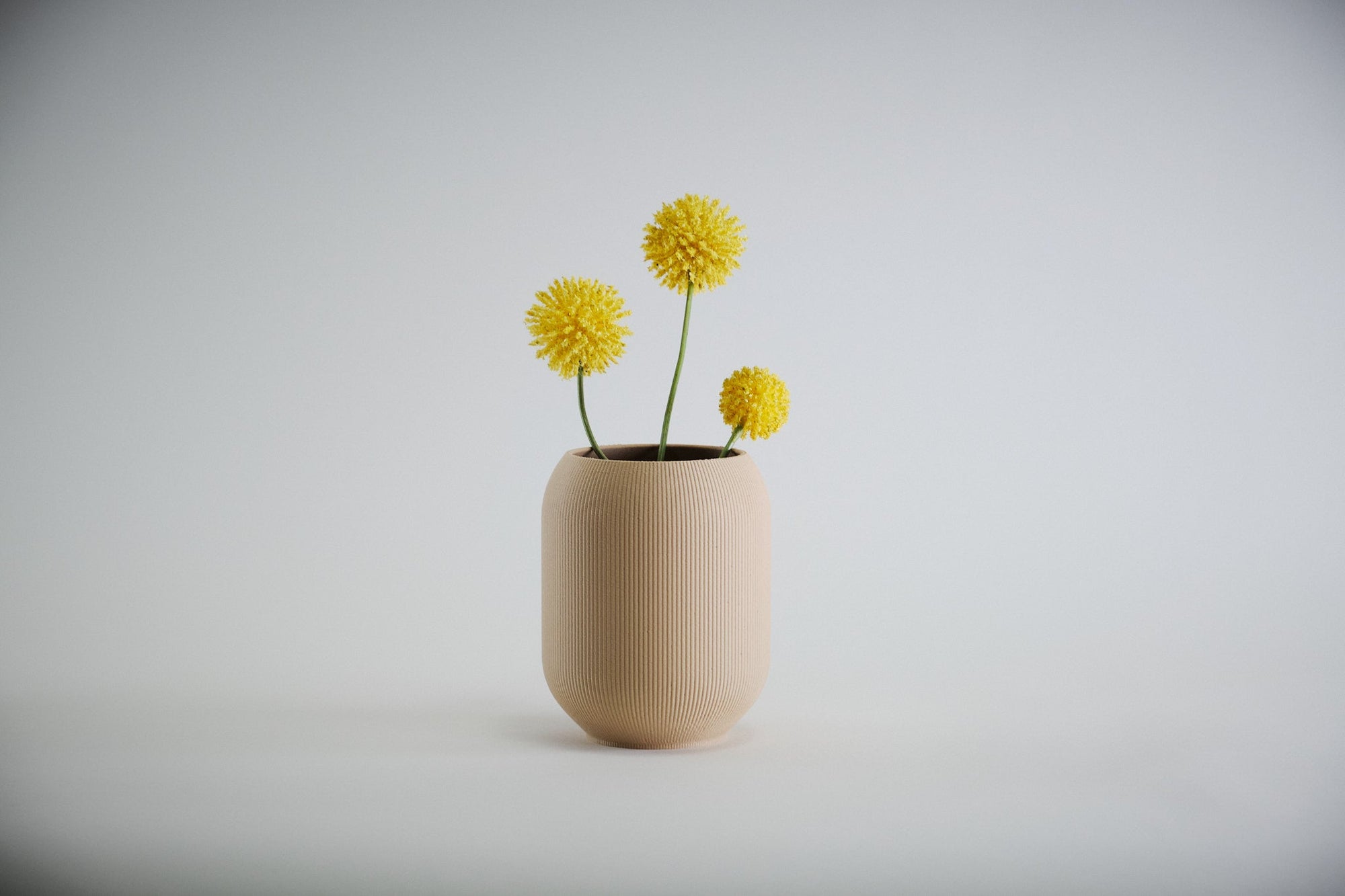 Aspen Vase  I  STYLE 02 Pod - Honey and Ivy 