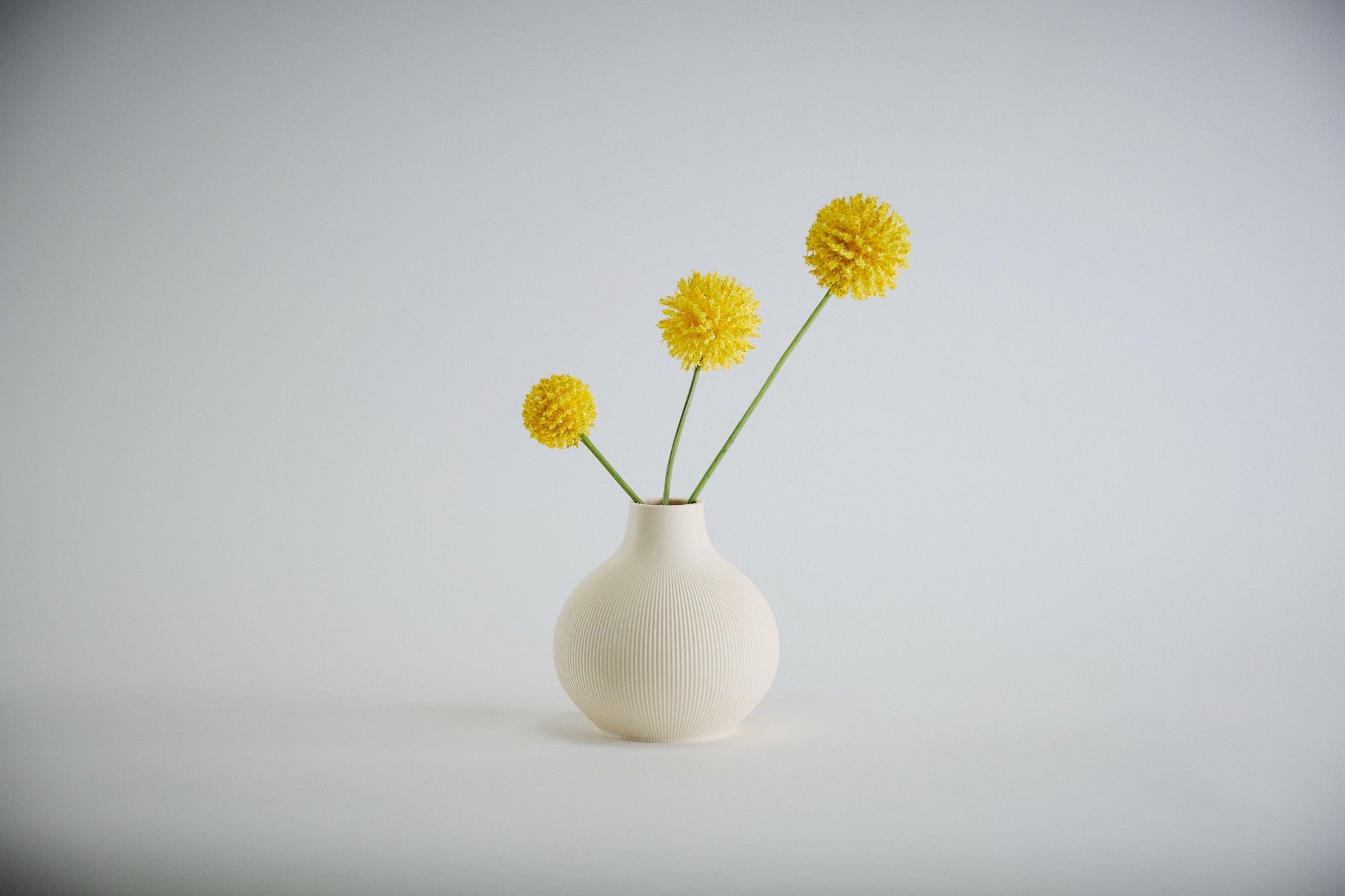 Aspen Vase  I  STYLE 03 Round - Honey and Ivy 
