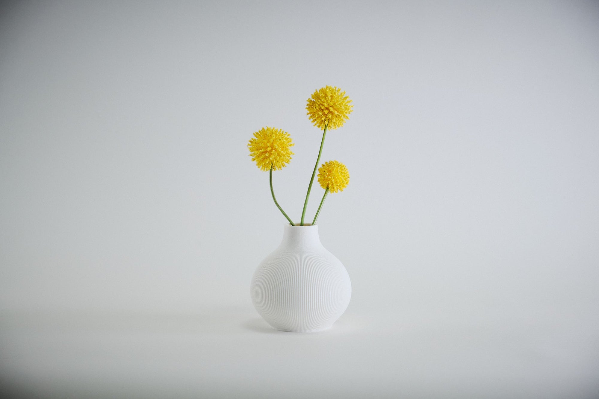 Aspen Vase  I  STYLE 03 Round - Honey and Ivy 