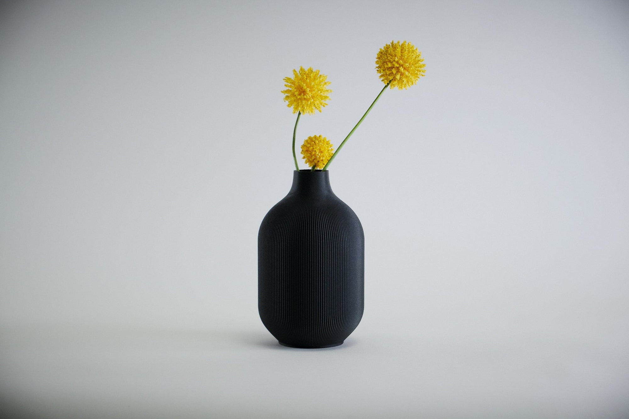 Aspen Vase  I  STYLE 01 Curves