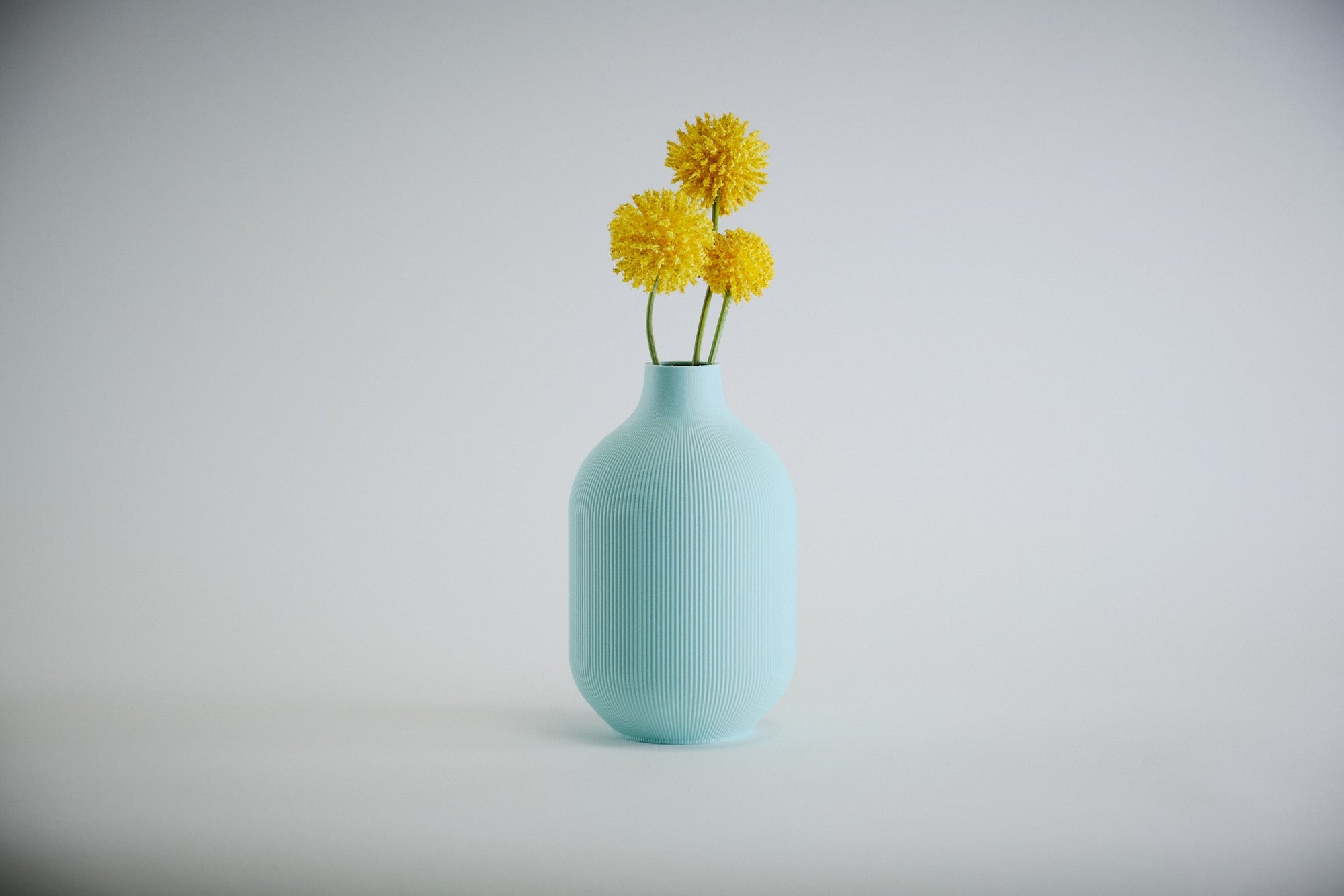 Aspen Vase  I  STYLE 01 Curves - Honey and Ivy 