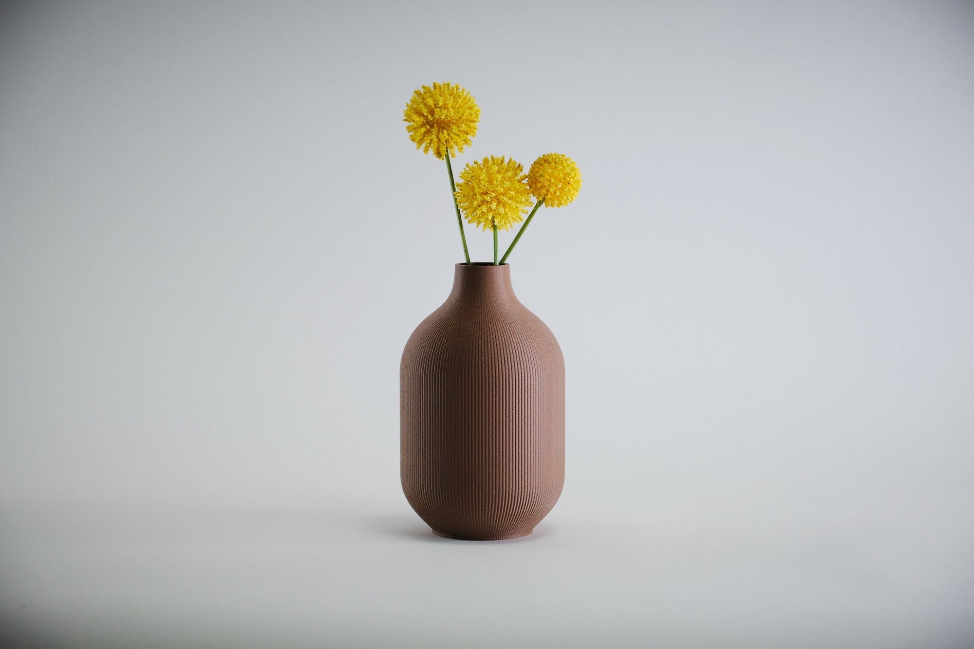 Aspen Vase  I  STYLE 01 Curves - Honey and Ivy 