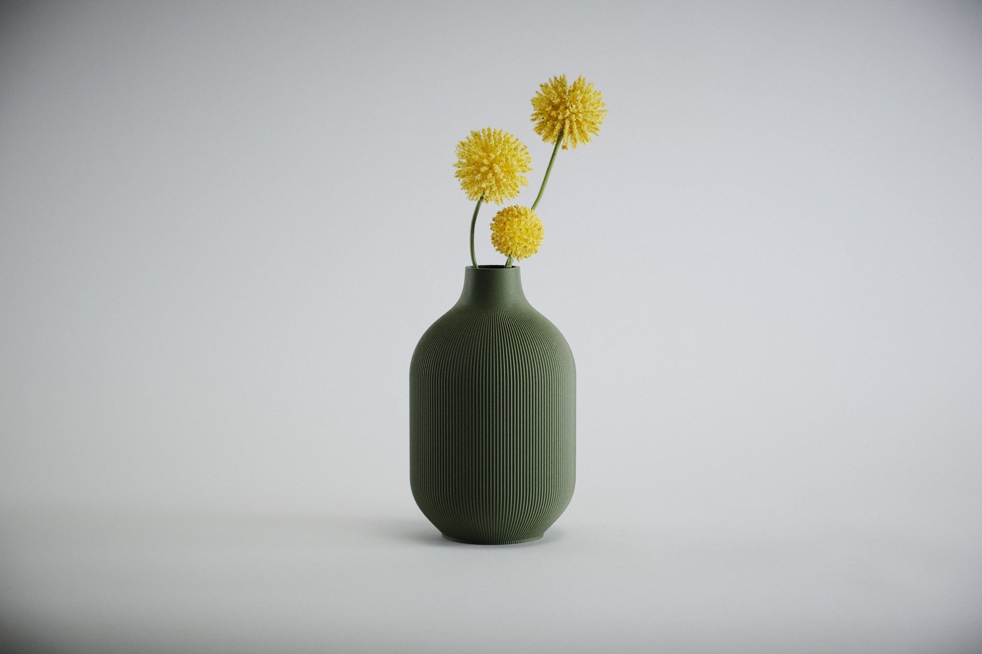 Aspen Vase  I  STYLE 01 Curves - Honey and Ivy 