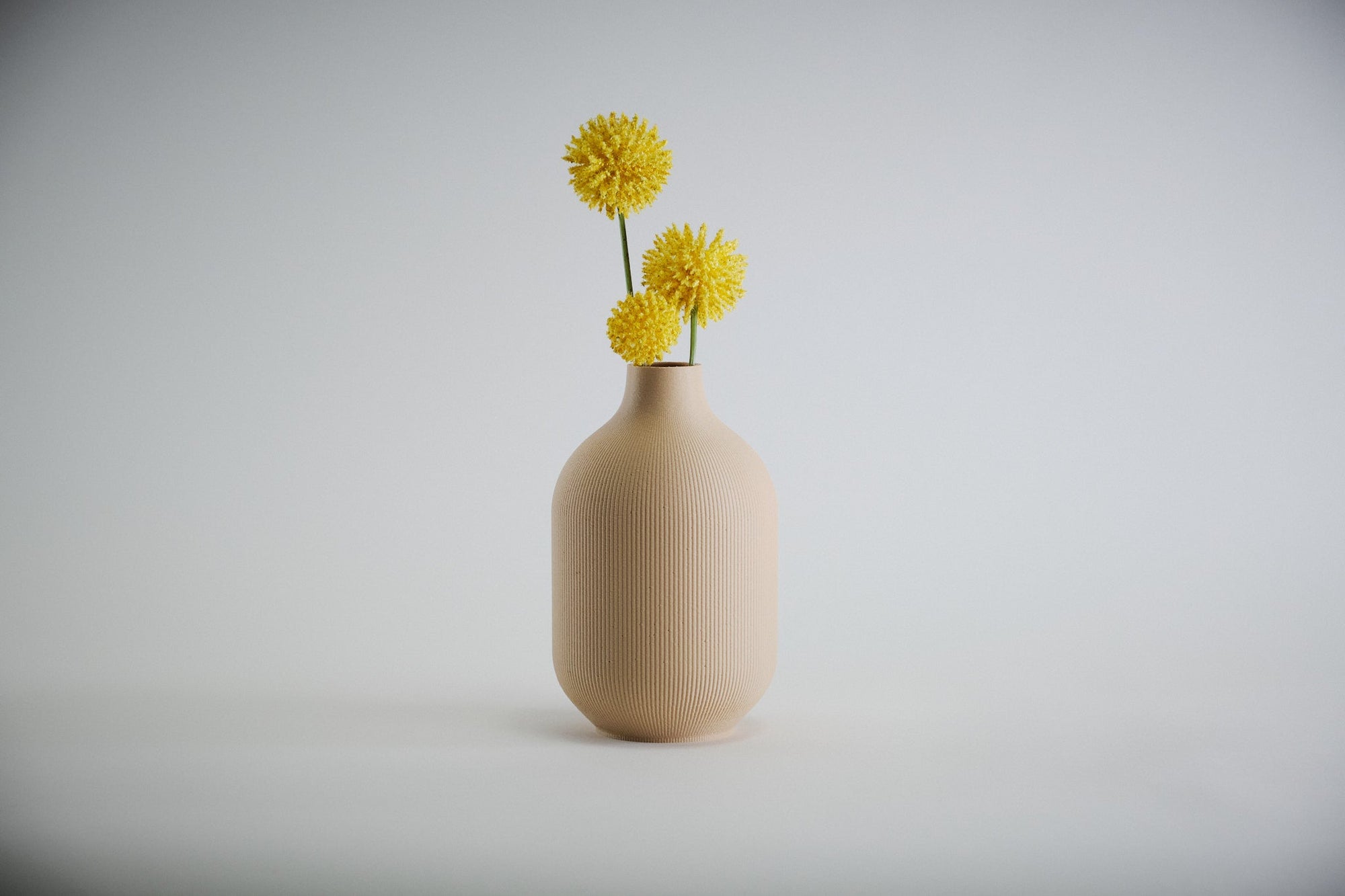 Aspen Vase  I  STYLE 01 Curves - Honey and Ivy 