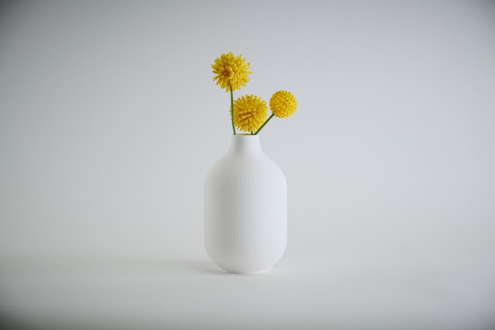 Aspen Vase  I  STYLE 01 Curves - Honey and Ivy 